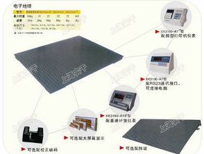 上海通訊設備領域的革新 量程精度可選的便攜式電子地磅